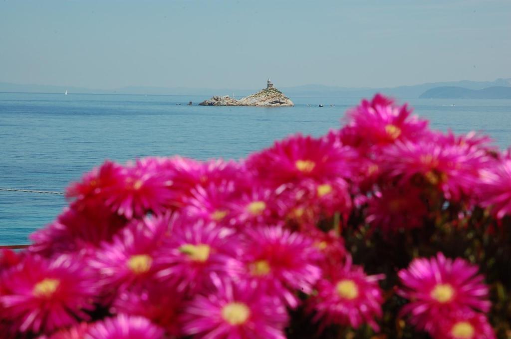 Hotel Villa Ombrosa Portoferraio Δωμάτιο φωτογραφία